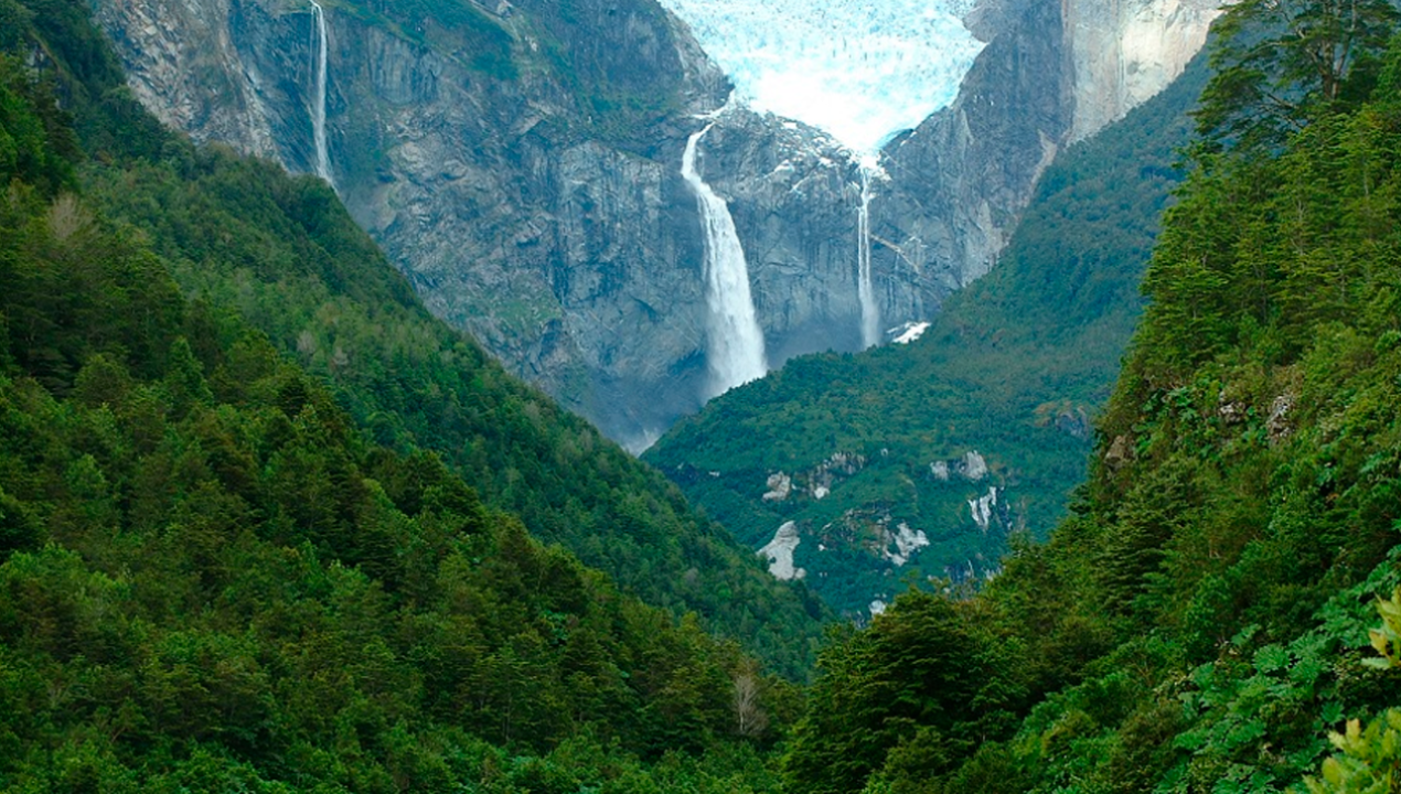 /tendencias/ciencia/flora-y-fauna/estudio-de-la-nasa-remarca-importancia-de-los-bosques-de-la-patagonia